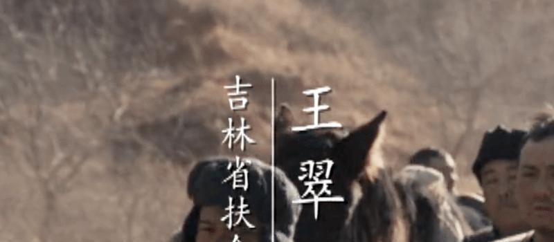 细说《大决战》中的小人物：乔三本、丁大胜、林稚文(图8)