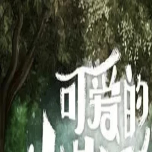 顶级疗愈，满分安利，这口碑好片没有一个人能拒绝