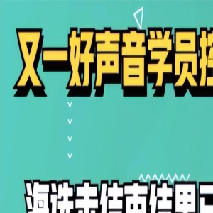 曝张碧晨花3000万买好声音冠军，诸多爆料都吻合，华晨宇被波及